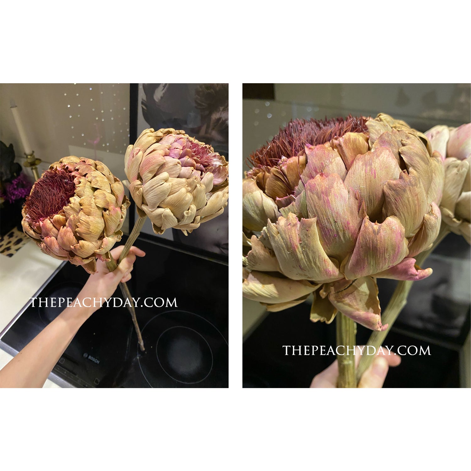 Dried King Protea tropical home decor wedding bouquet flower arrangements