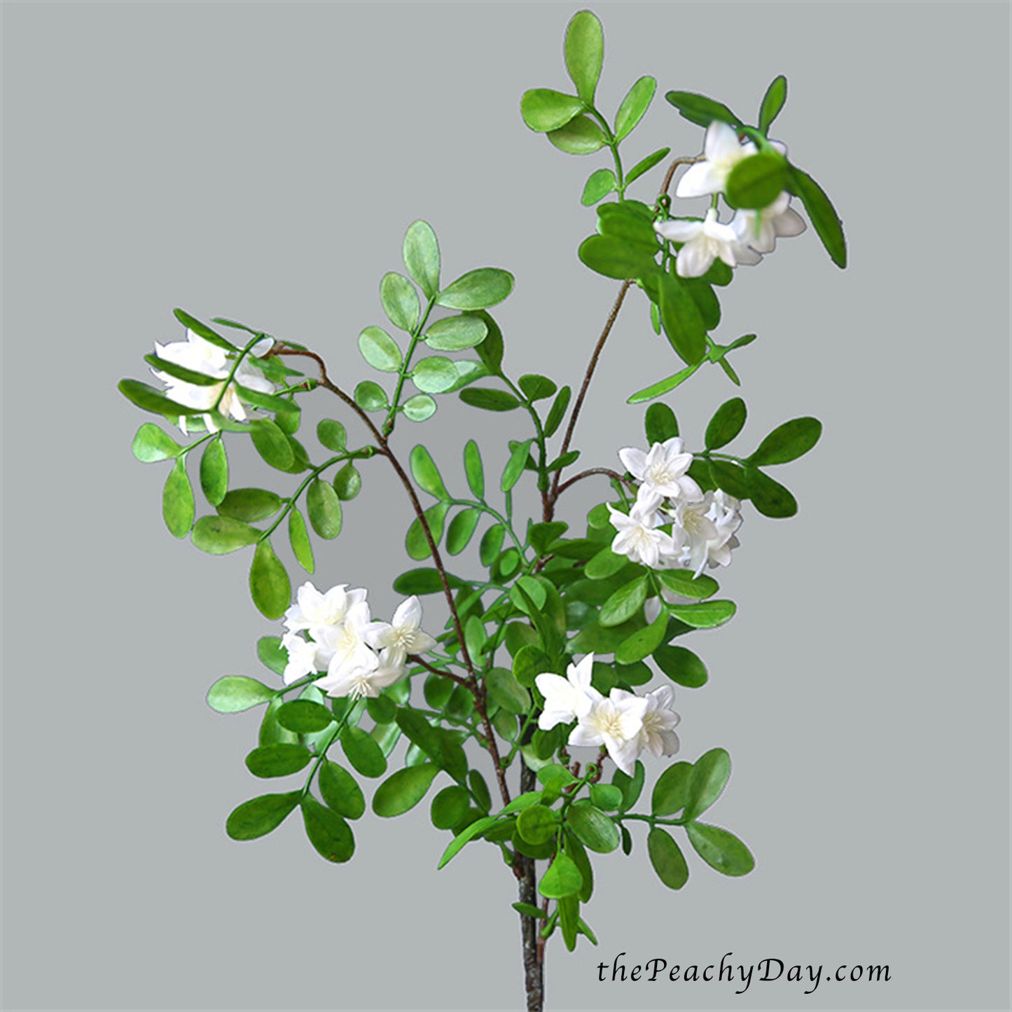 36.6" Real Touch Faux Sophora Flowers | 4 Colors