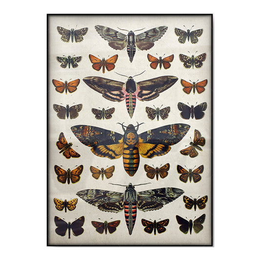 [unframed] Cavallini Butterfly Posters Wall Art