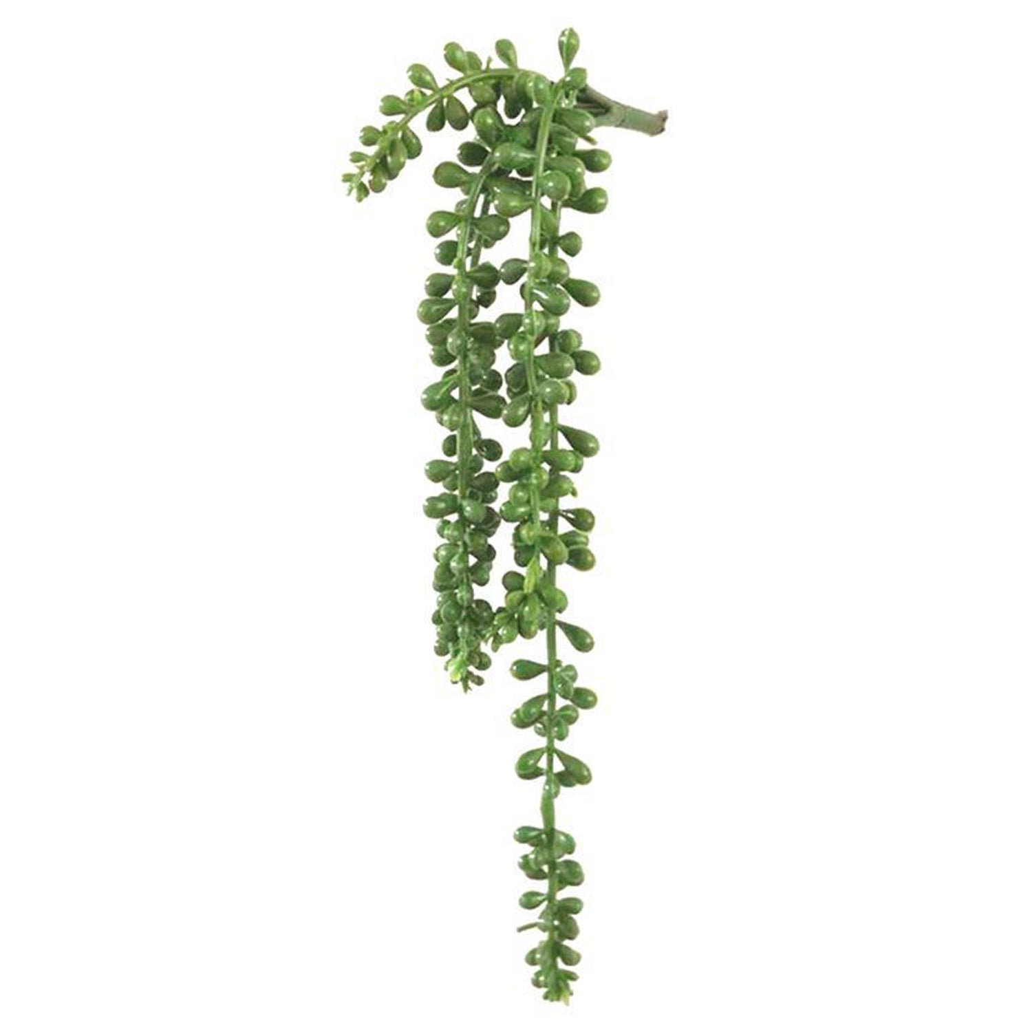 Fake String of Pearls Hanging Plants Vine Shelf Decor Bedroom Aesthetic –  the Peachy Day