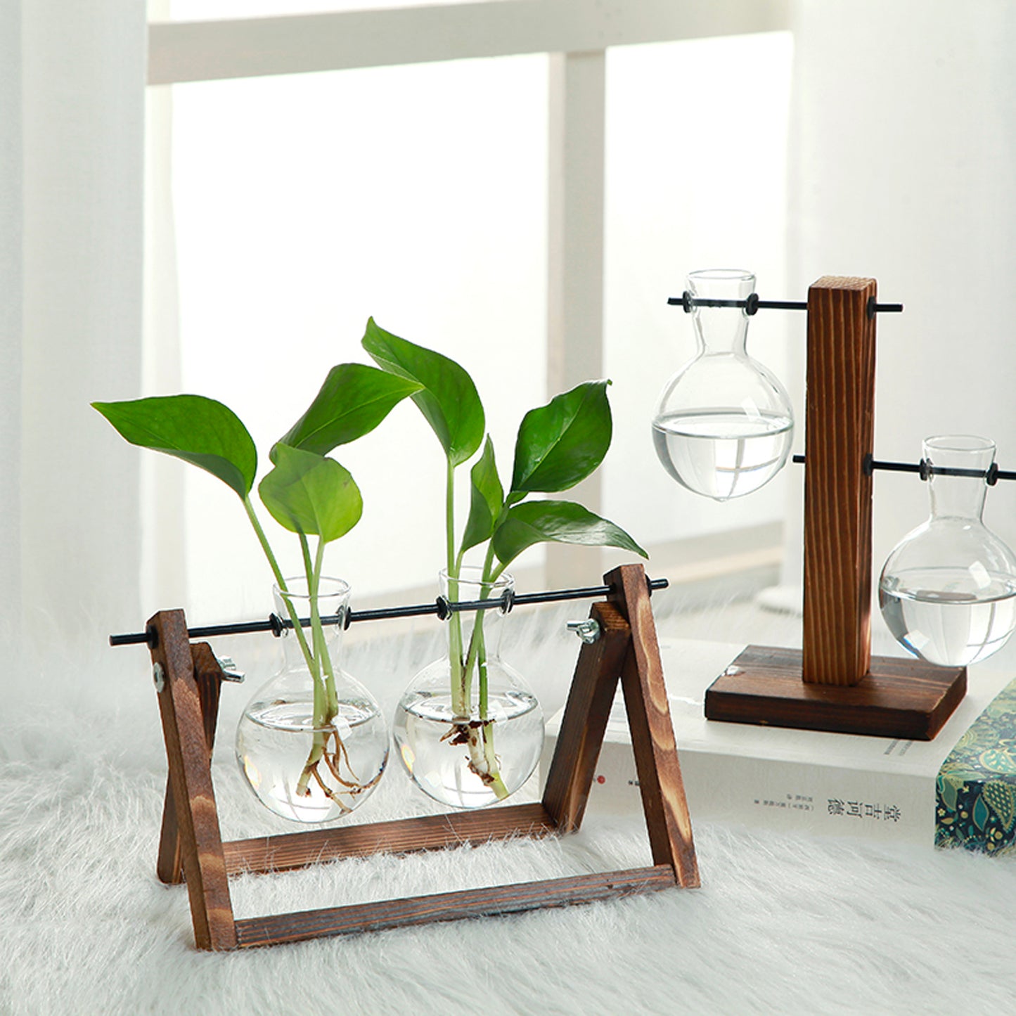 Plant Terrarium with Wood Stand