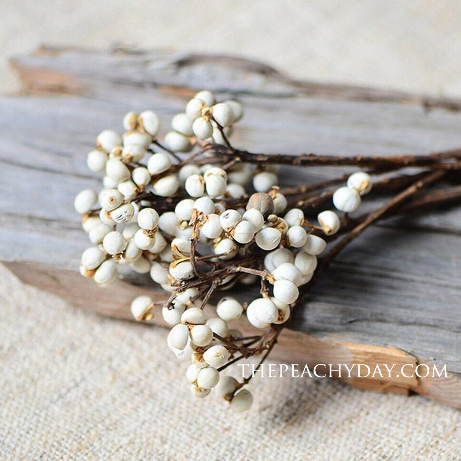  Tallow Berries Dried, Natural Stem Wedding Floral