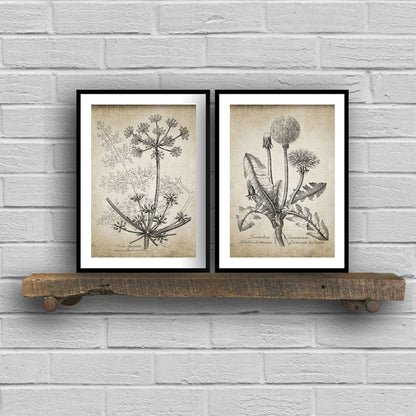 Rustic Botanical Painting Posters