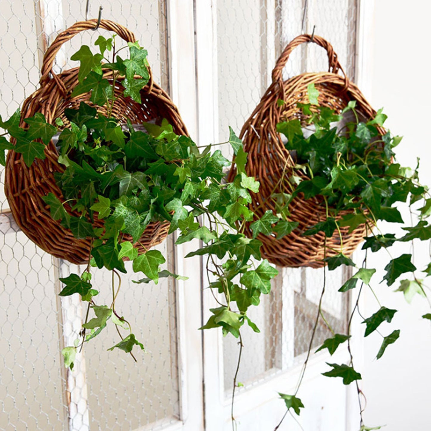 Rattan Wall Hanging Basket