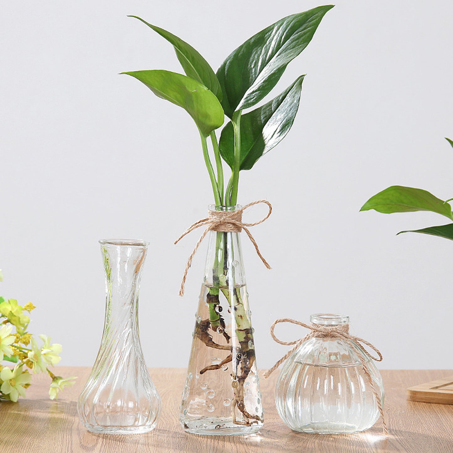 Glass Vase Set of 8