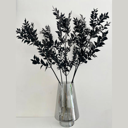 Black Dried Ruscus Leaves Branch boho gothic flowers home decorations