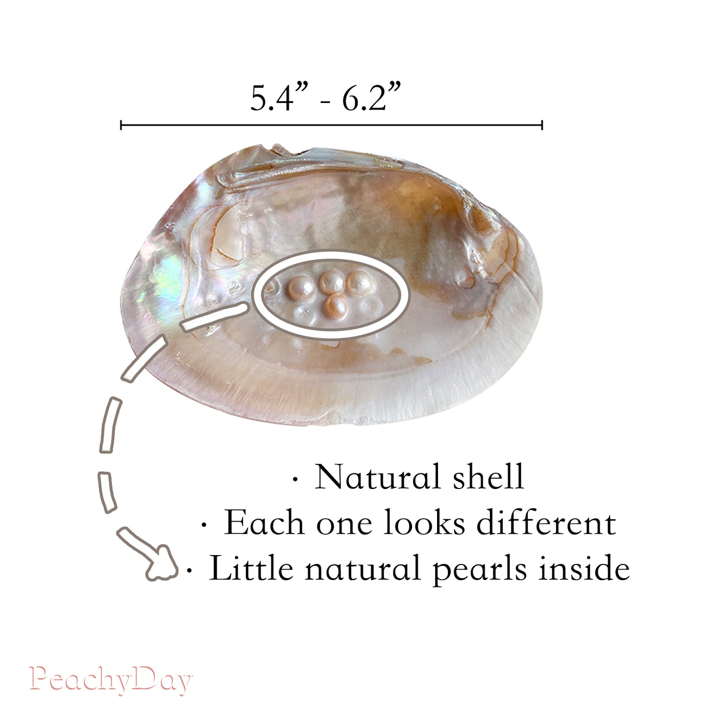 Natural Pearl Shell Tray