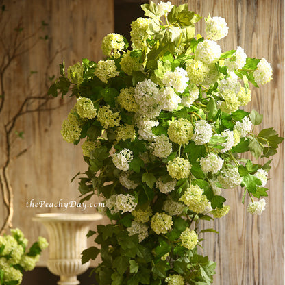 2 Stems Chineses Snowball Flowers | 5 Colors