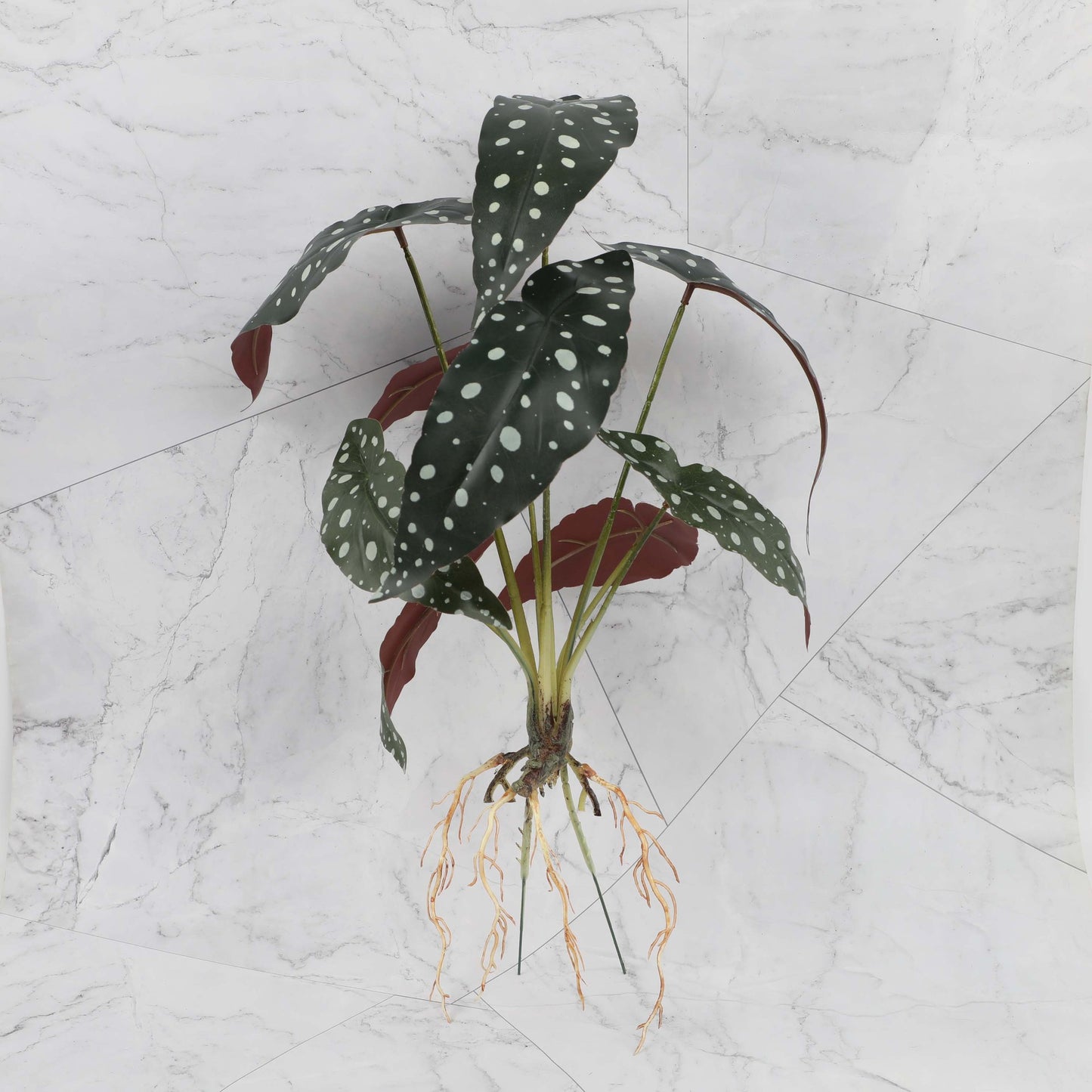 Artificial Angel Wing Begonia Leaf Plant