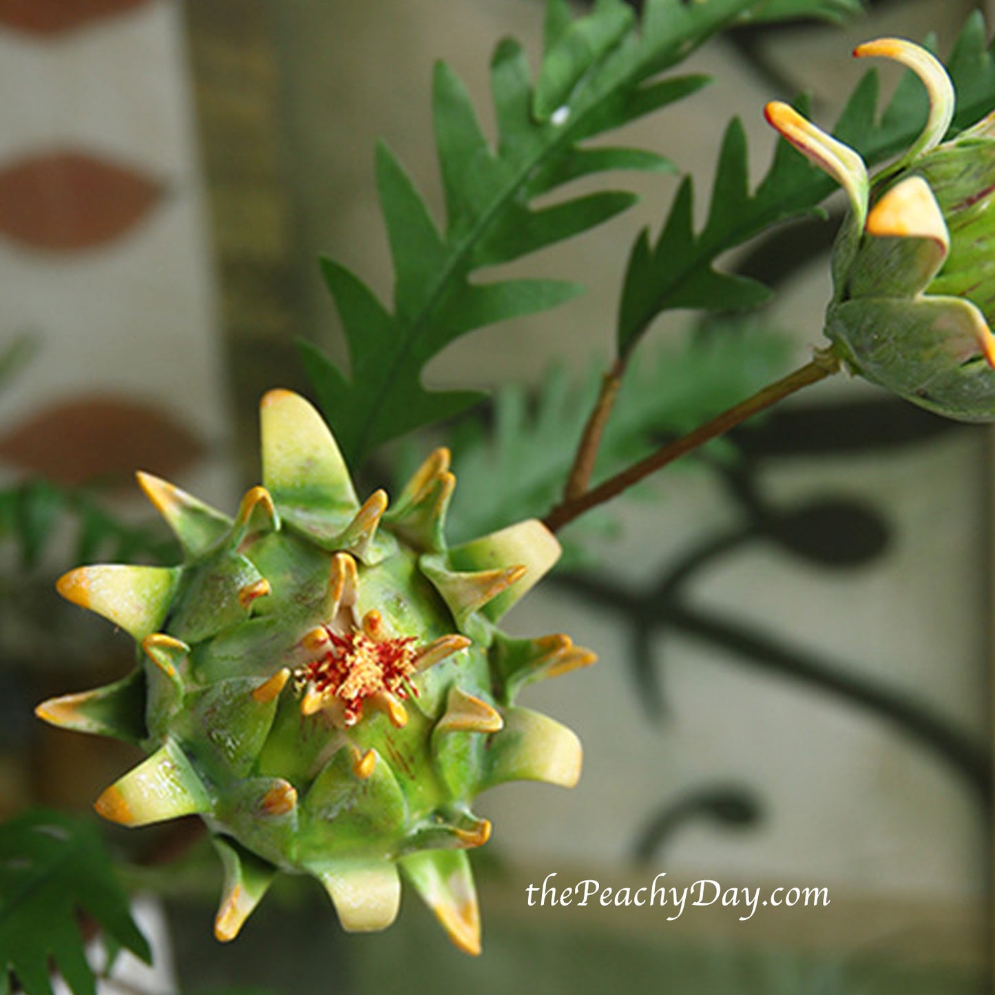22.8" Fake Protea Buds | 3 Colors