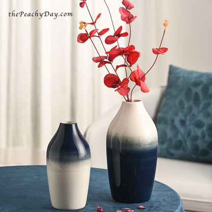 Blue & White Ceramic Vases Set of 2