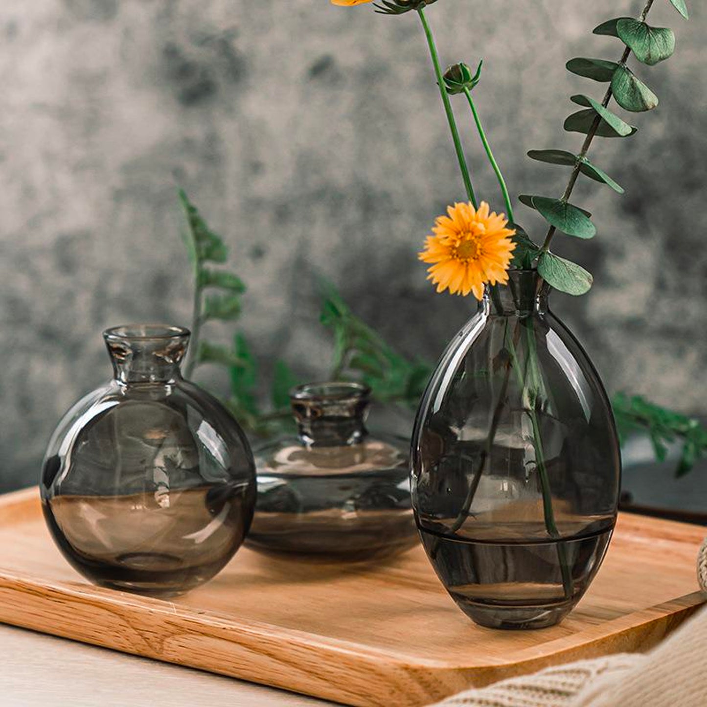 Modern Glass Vase - Set of 3