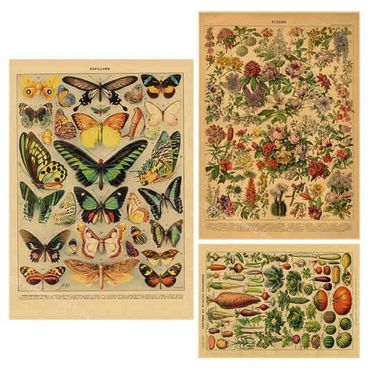 [unframed] Cavallini Butterfly Animal and Botanical Posters Wall Art