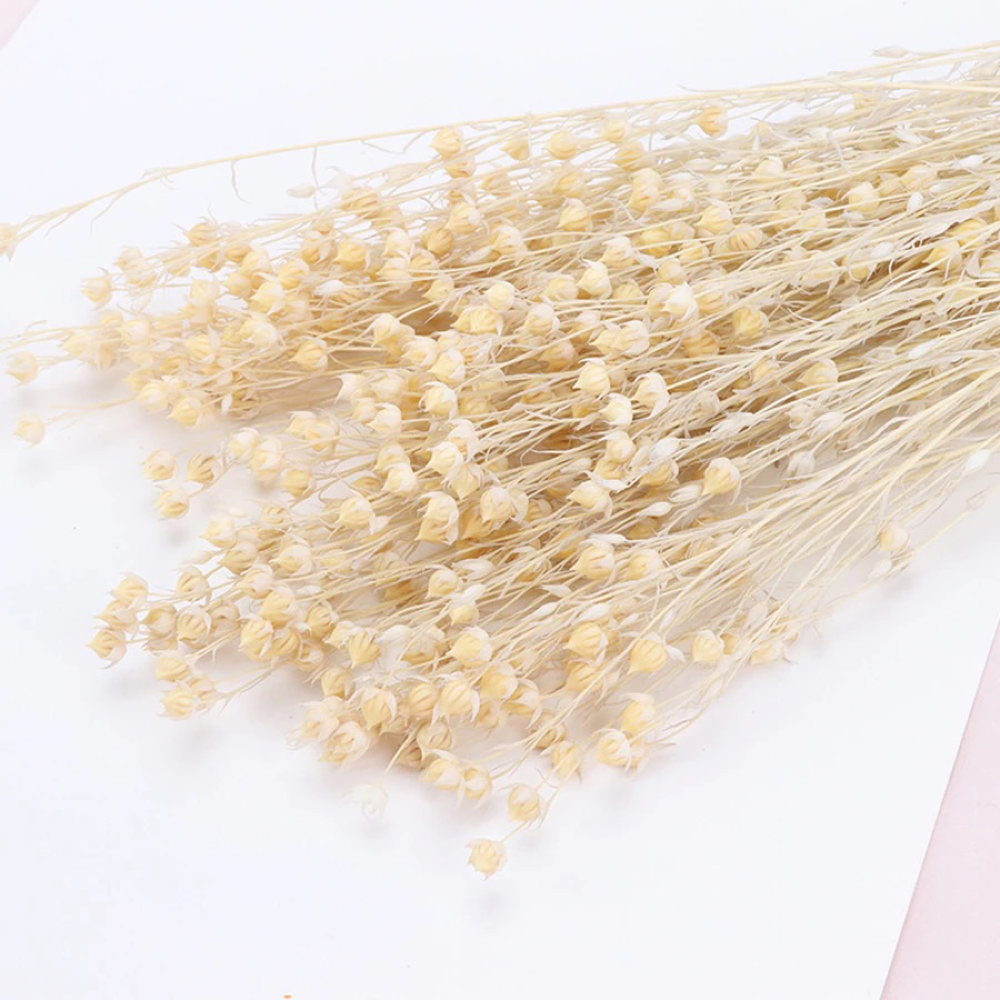 2.8oz Dried Flax Grass Bundle | 11 Colors