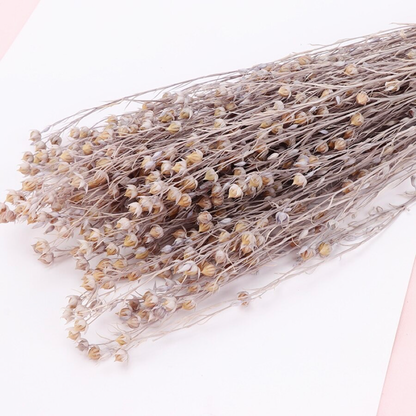 2.8oz Dried Flax Grass Bundle | 11 Colors