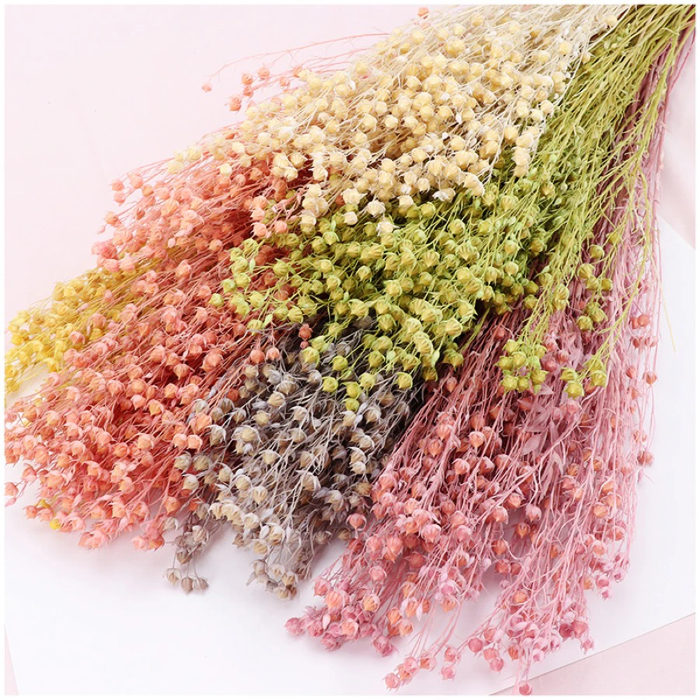 2.8oz Dried Flax Grass Bundle | 11 Colors