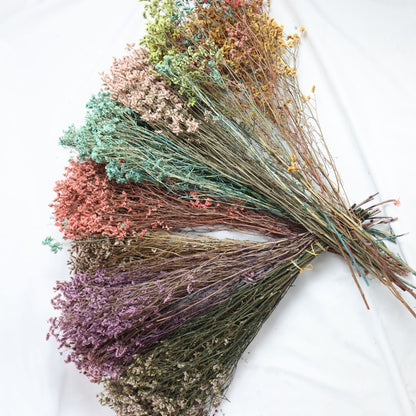 Dried German Statice Bundle | 8 Colors