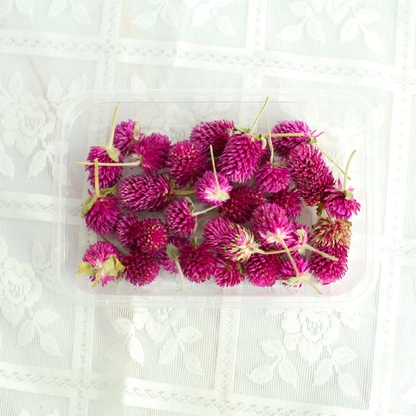 1oz Dried Globe Amaranth Flower Heads | 4 Colors