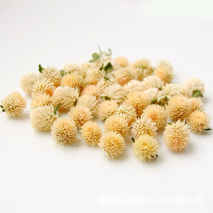 1oz Dried Globe Amaranth Flower Heads | 4 Colors
