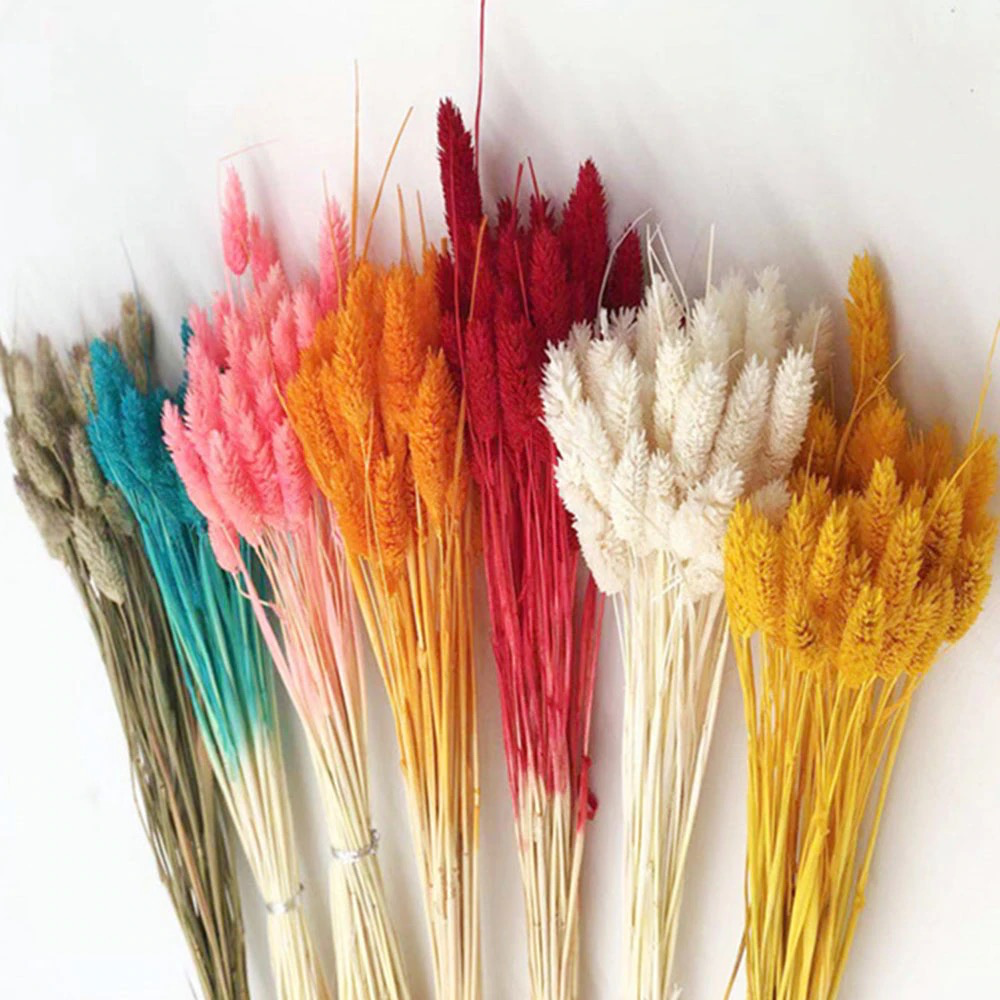 Bundle of 55 Dried Globe Amaranth | 8 Colors