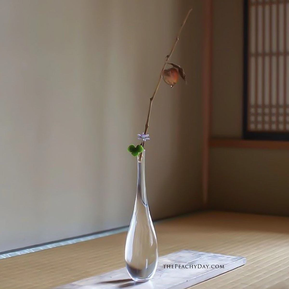 Japanese Chinese Zen Vase 梅瓶玉净瓶 Transparent decorative Glass bottle tea-culture tea ceremony Countertop Vase Home Decoration Flower Arrangement Hydroponic Small Vase Home