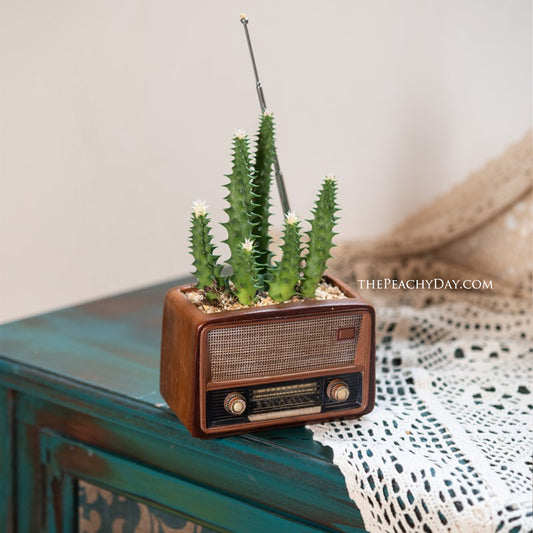 Retro Radio Fake Succulent Planter