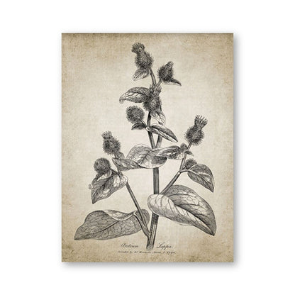 Rustic Botanical Painting Posters