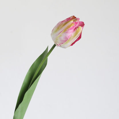 3 Stems 21.6" Tulips | 3 Colors