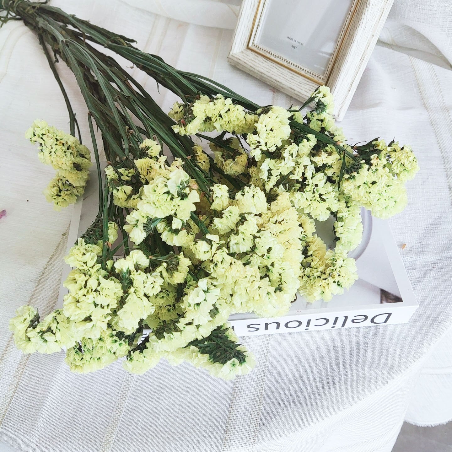 Dried Forget Me Not Flowers Bundle | 6 Colors