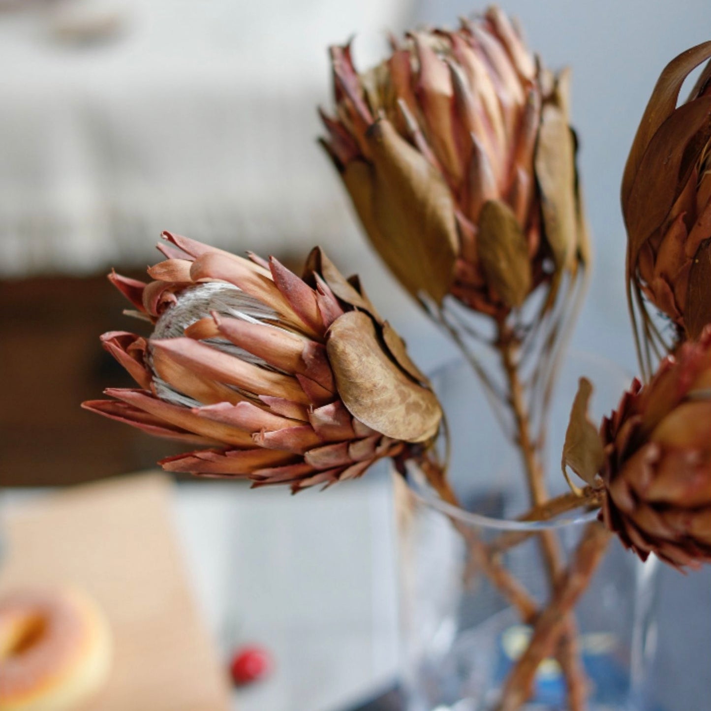 2 Stems Natural Dried Protea Flowers | 2 Colors