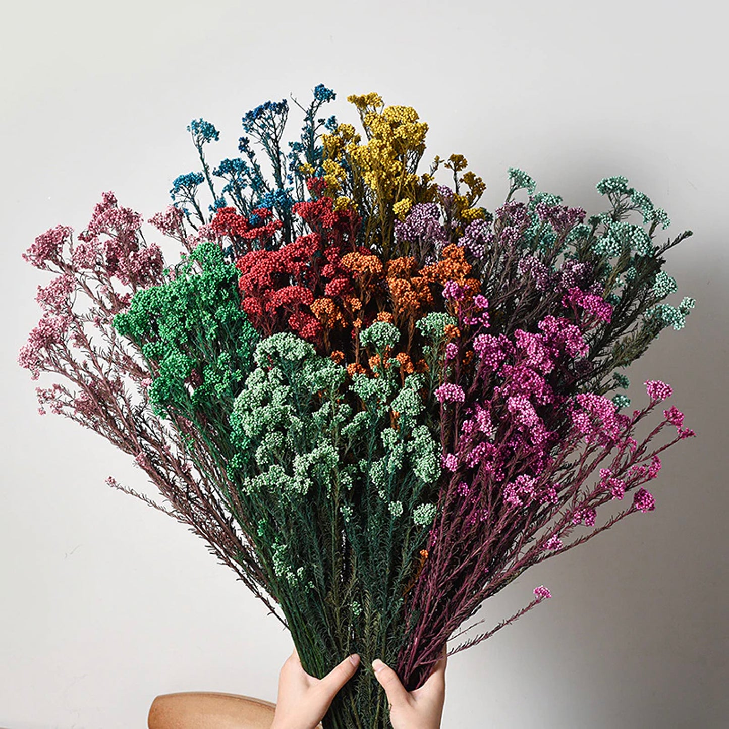 Dried Rice Flower Bundle | 10 Colors