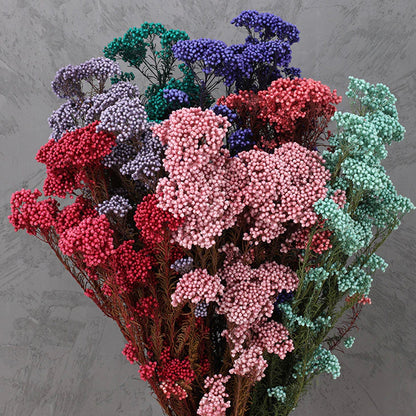 Dried Rice Flower Bundle | 10 Colors