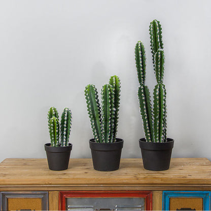Tall Artificial Cactus Picks