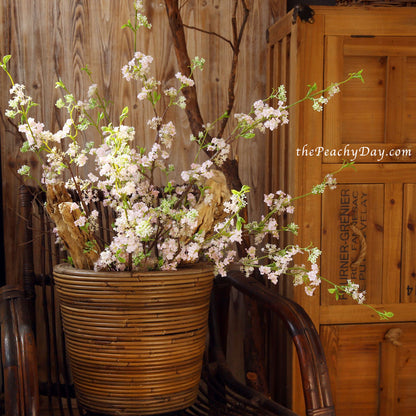 3 Stems 39.3“ Bridal Wreath Flowers | 2 Colors