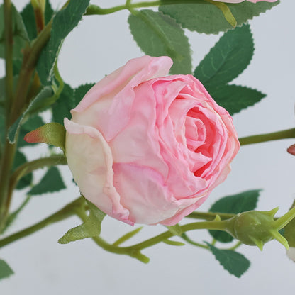 24.8" Fake Dried Rose | 5 Colors