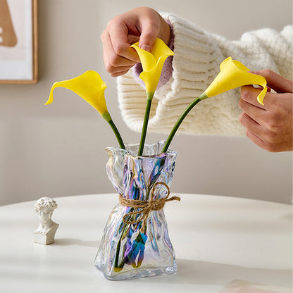 Bag Glass Vase