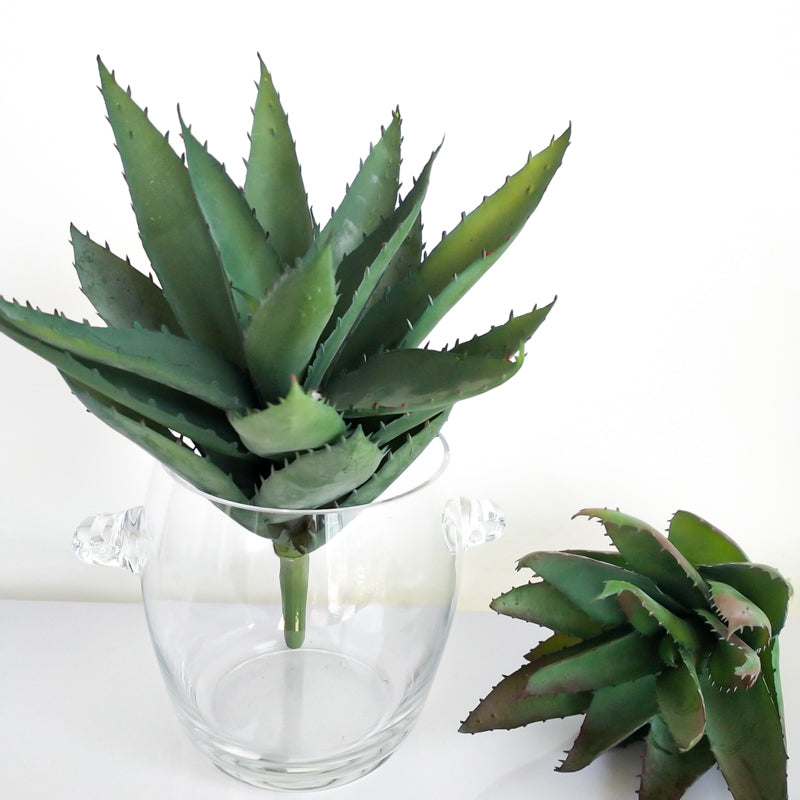 13.7" Artificial Aloe Plant