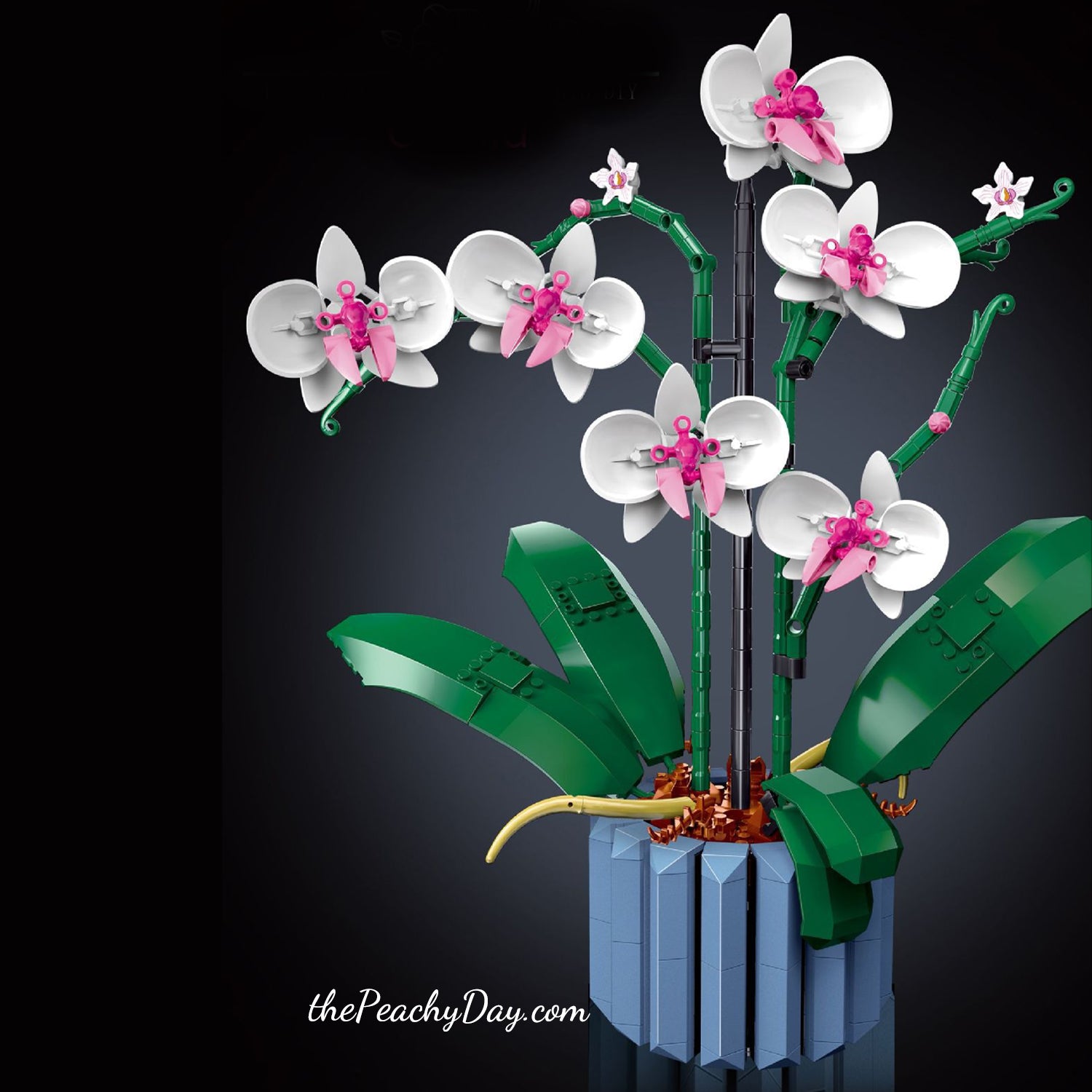 Orchid Botanical Collection Flower Building Set – the Peachy Day