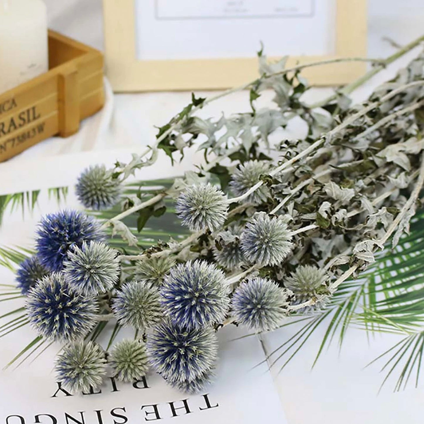 Blue Dried Echinops Globe Thistles | 6 Colors