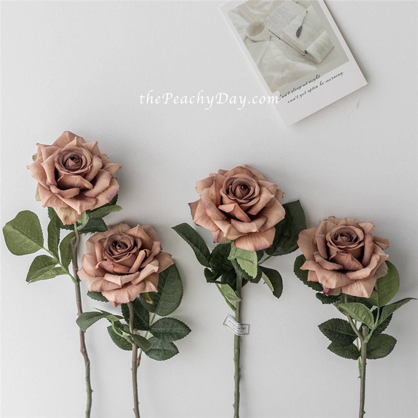 5 Stems Roses | 7 Colors