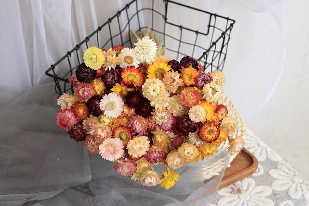 Bundle of 50 Dried Daisy Flower Bouquet
